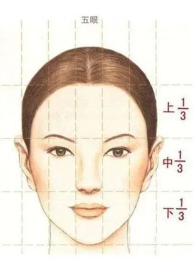 BEL半永久纹绣技术之一：基本原理及面部设计原理